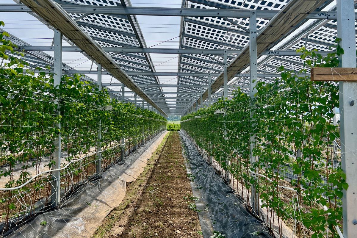 xr:d:DAEyjGdEEdE:471,j:2888328074776866082,t:23062804